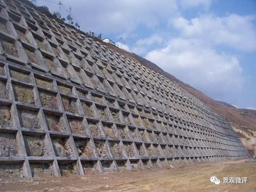 道路 邊坡綠化設(shè)計