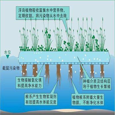 水面浮島景觀人工生態(tài)浮床施工水生植物種植浮島水上綠化浮島