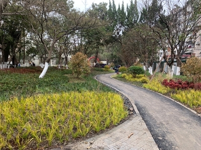 嘉興市一批新建改建公園已上線,這個春節(jié)約起來(之一:市區(qū)篇)